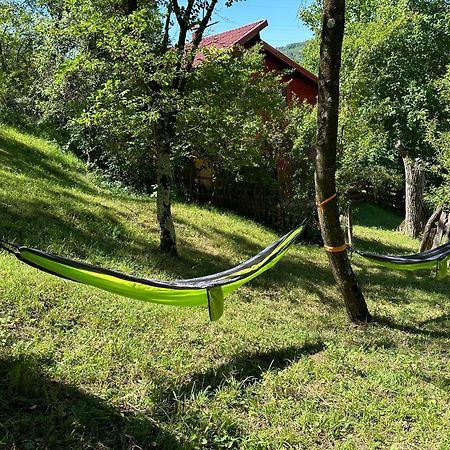Villa Casa Lupilor Transfagarasan Căpăţîneni-Ungureni Esterno foto