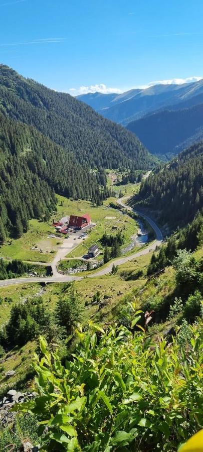Villa Casa Lupilor Transfagarasan Căpăţîneni-Ungureni Esterno foto