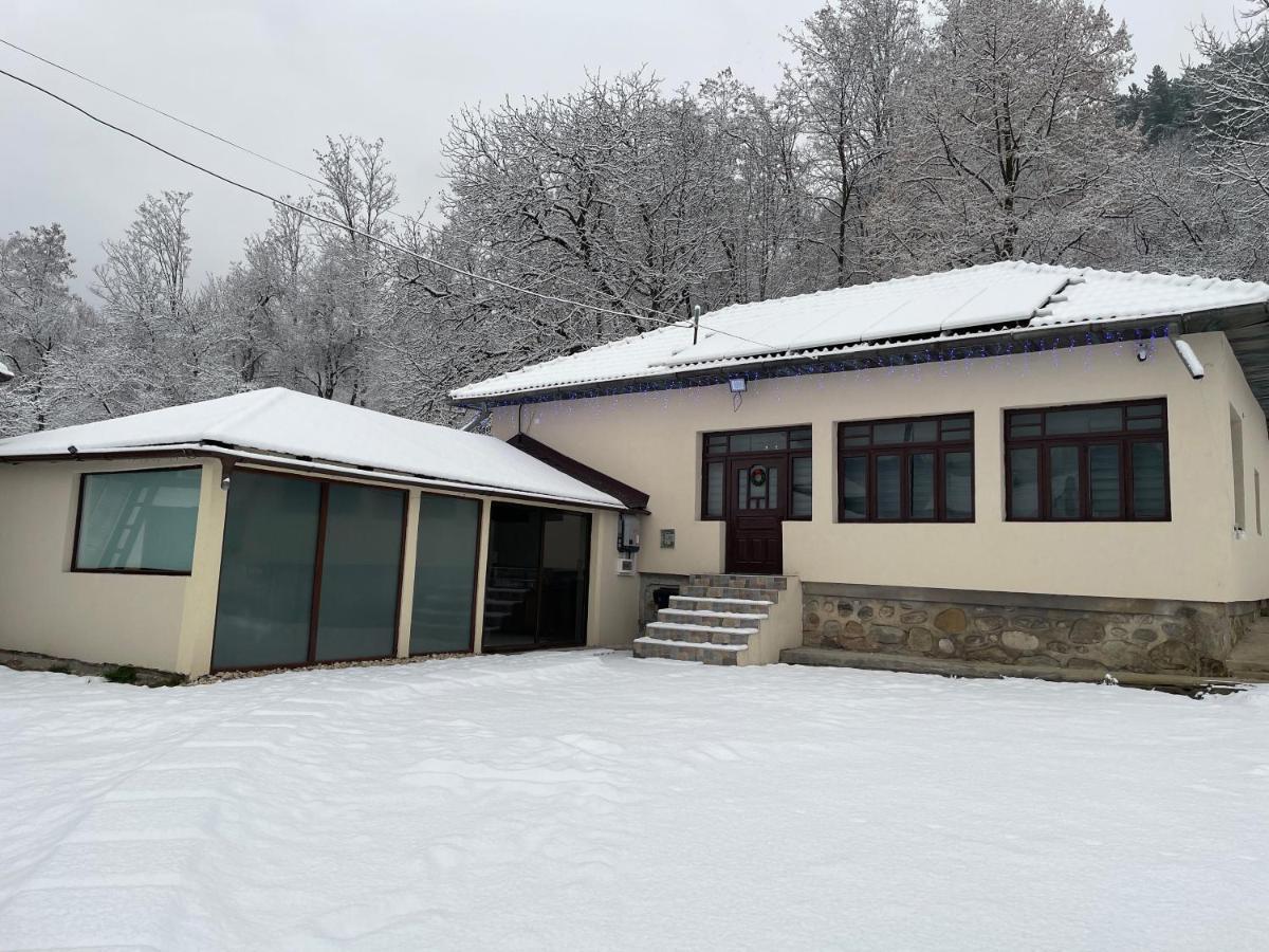 Villa Casa Lupilor Transfagarasan Căpăţîneni-Ungureni Esterno foto