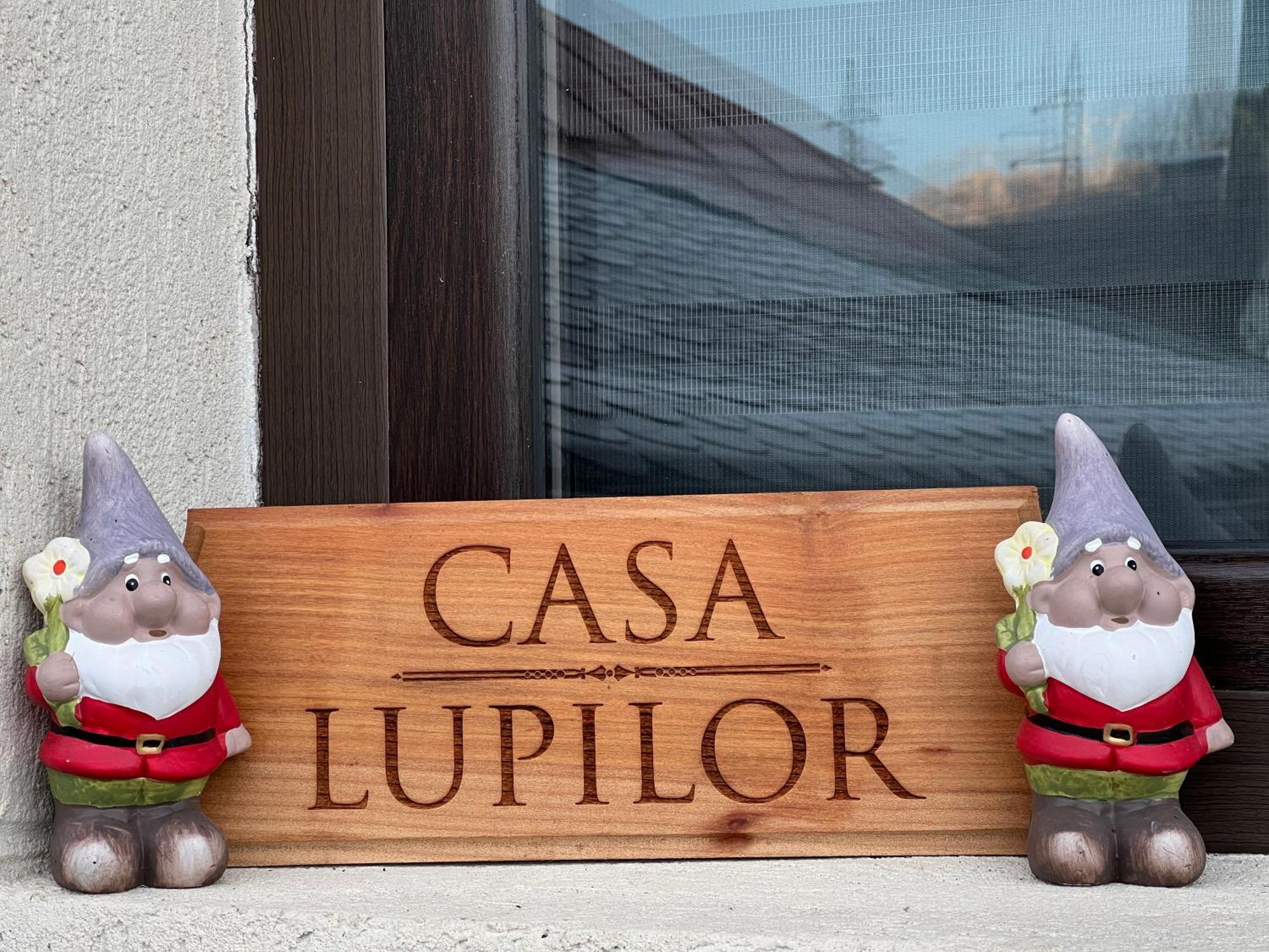 Villa Casa Lupilor Transfagarasan Căpăţîneni-Ungureni Esterno foto