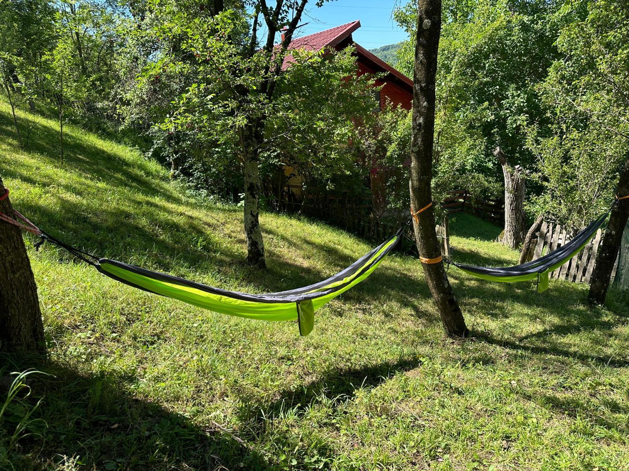 Villa Casa Lupilor Transfagarasan Căpăţîneni-Ungureni Esterno foto