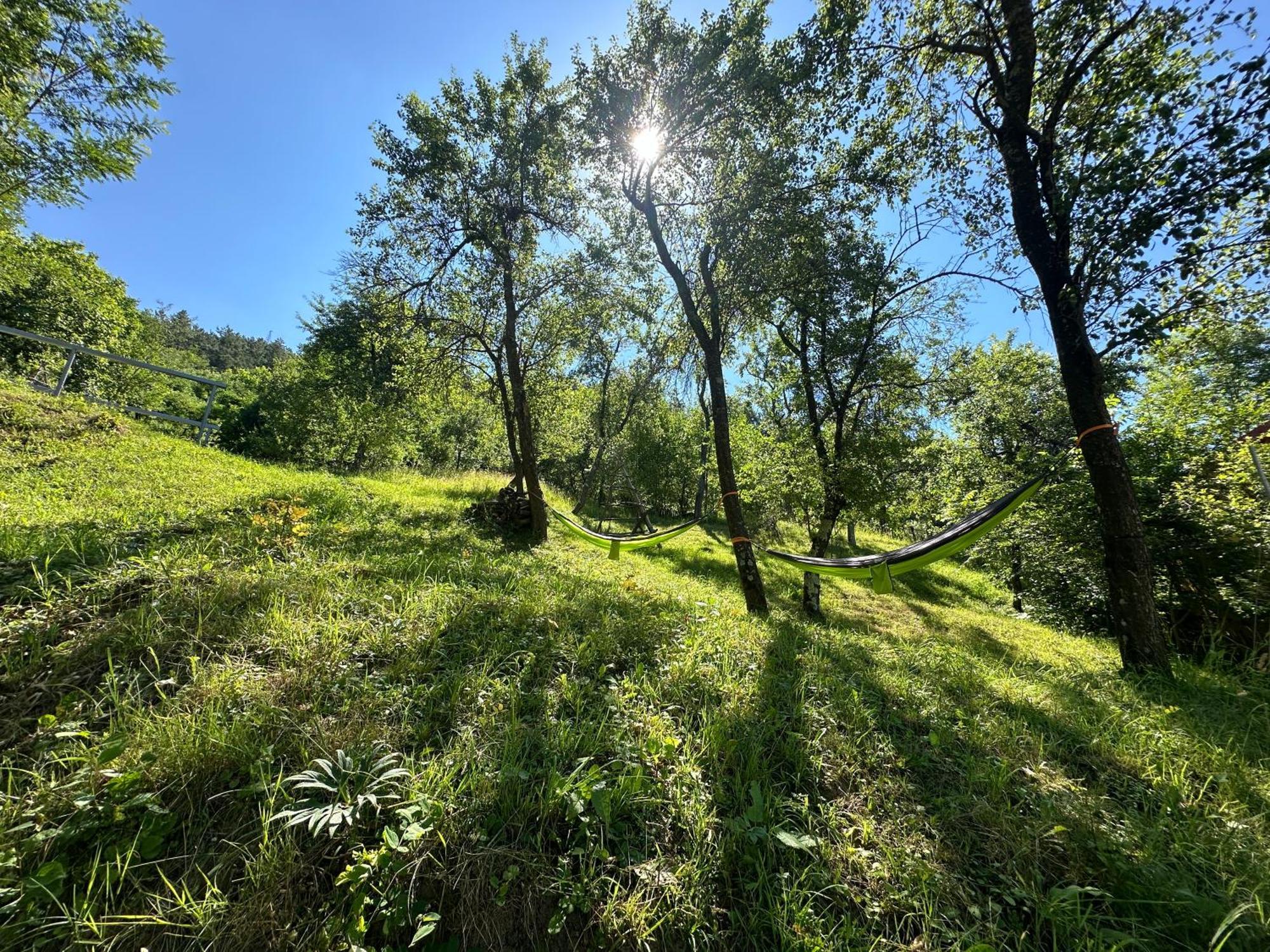 Villa Casa Lupilor Transfagarasan Căpăţîneni-Ungureni Esterno foto